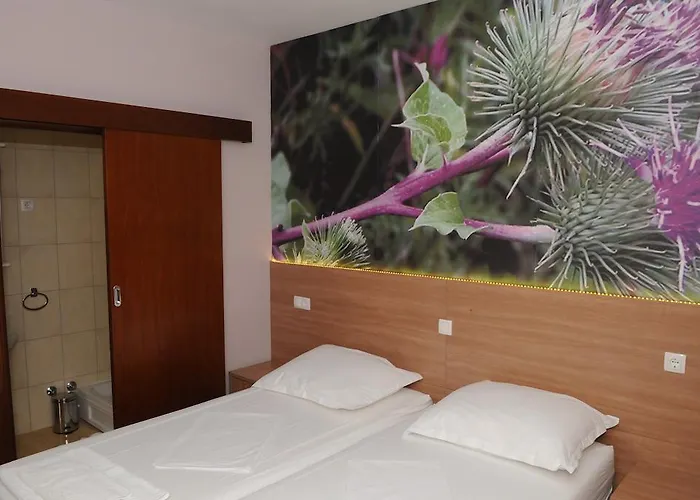 Guest house Ostojic Medjugorje